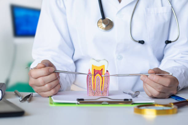 Best After-Hours Emergency Dentist in Reed City, MI